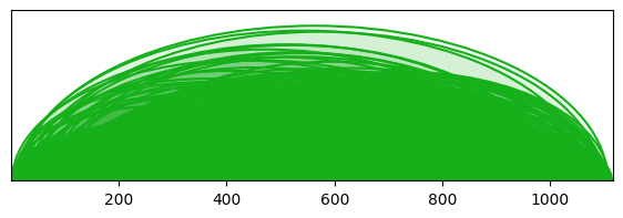 arc diagram